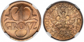1 grosz 1938 Piękna groszówka. 
Reference: Chałupski 2.2.12.a, Parchimowicz 101.m
Grade: NGC MS66 RB 

POLAND POLEN