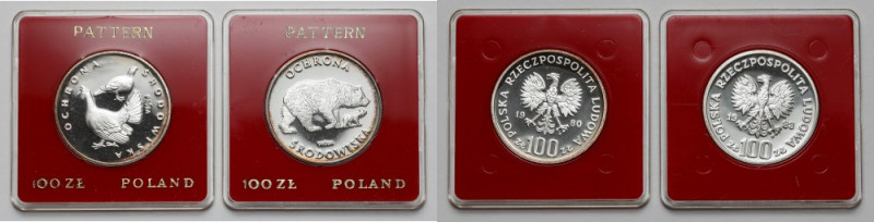 Próby Ag 100 złotych 1980 i 1983 Głuszec i Niedźwiedź (2szt) Głuszce z pojedyncz...