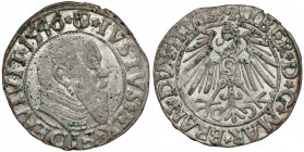 Prusy, Albrecht Hohenzollern, Grosz Królewiec 1546 Rzadszy rocznik. Mennicza moneta z plamkami zielonego nalotu. 
Reference: Kopicki 3790 (R1)
Grade...