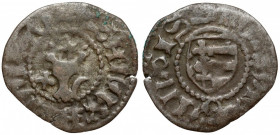 Hospodarstwo Mołdawskie, Stefan III (?), Grosz Suczawa Odmiana z lilią i półksiężycem po bokach głowy. Panowanie Stefan III (1457-1504)?
 Brąz, średn...