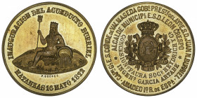 CUBA
Amédée Ier (1870-1873). Médaille, inauguration du grand aqueduc de Matanzas le 16 mai 1872, par F. Crones 1872.
Bronze doré - 33,03 g - 40 mm -...