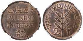PALESTINE
Palestine sous administration britannique (1922-1948). 2 mils 1946.
KM.2 ; Bronze - 7,80 g - 28 mm - 12 h 
NGC MS 64 BN (5949121-004). Pe...