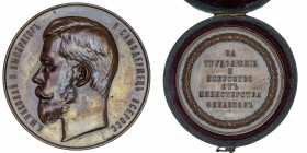 RUSSIE
Nicolas II (1894-1917). Médaille, Prix pour le travail et les Arts, Ministère des Finances, Festival international ND (1894-1917), Saint-Péter...