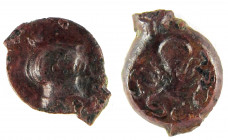 SICILE – SYRACUSE, vers 435-415 BC
Onkia, Bronze, 1,33g.
Av. Tête d’Aréthuse à droite, les cheveux tirés en arrière ; derrière, un dauphin.
Rv. Poulpe...