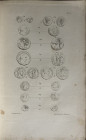 WITTE J. de. Description des Médailles et des antiquités du cabinet de M. l'abbé H. G.*** [ Honnoré GREPPO ], Paris, 28 janvier 1856 et jours suivants...