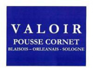 Un carton de livres numismatique 
VINCHON Jean, Monnaies ROMAINES - Paris le 15 Nov 1965 ; FOVILLE coll. Propser VALTON ; BARANOWSKY 1931, Collezione ...