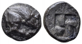 Lucania, Velia Drachm circa 535-465, AR 13.20 mm., 3.18 g.
Forepart of Lion r. tearing stag's leg. Rev. Irregular incuse square. SNG ANS 1202. Histor...