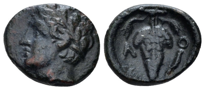 Locris, Locris Bronze Last quarter of IV BC, Æ 13.10 mm., 1.65 g.
Laureate head...