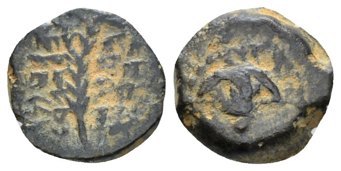 Judaea, John Hyrcanus I, 128–104 Jerusalem Half prutah 128-104, Æ 10.60 mm., 1.2...