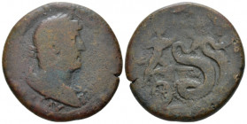 Egypt, Alexandria. Dattari. Hadrian, 117-138 Drachm circa 132-133 (year 17), Æ 33.50 mm., 23.78 g.
Laureate, draped and cuirassed bust r. Rev. Tripto...