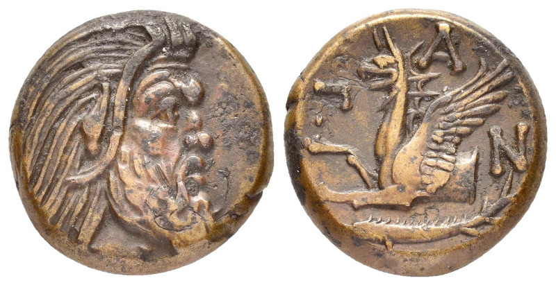 CIMMERIAN BOSPOROS.Pantikapaion.(Circa 340-325 BC).Ae.

Obv : Bearded head of sa...