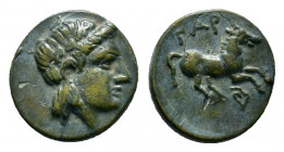 TROAS.Gargara.(4th century BC).Ae.

Obv : Laureate head of Apollo right.

Rev : ΓAP.
Horse prancing right, ivy leaf below. 
SNG Aulock 1511; SNG Copen...