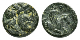 MYSIA.Adramytion.(4th century BC).Ae.

Obv : Laureate head of Zeus right.

Rev : ΑΔΡΑ.
Forepart of Pegasos right.
SNG France 1; Klein 247. 

Condition...