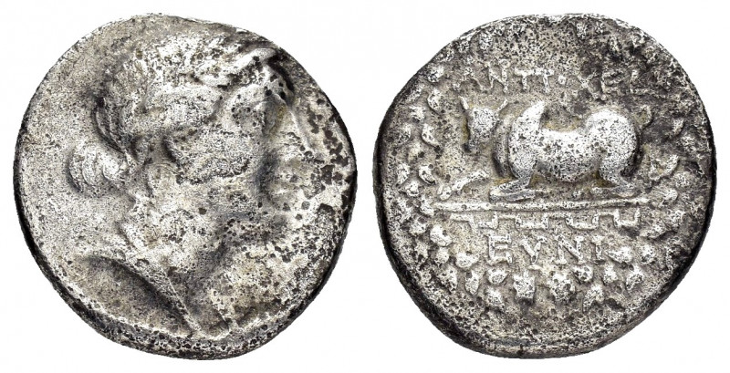 CARIA.Antiochia ad Maeandrum.(Mid 2nd century BC).Drachm.

Obv : Laureate and ...