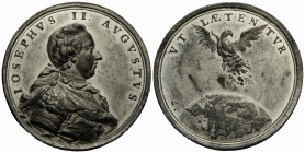 Frankfurt, Grossherzogtum
 Zinnmedaille / Tin medal o. J. / ND (1780). 43.8 mm. IOSEPHVS II. AVGVSTVS. Portrait. Rv. VT LAETENTVR. Vogel mit Nahrungs...