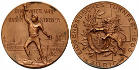Zürich / Zurich
 Bronzemedaille / Bronze medal 1903. 35.2 mm. Vs. DEM VATERLANDE UNSER STREBEN / THE FATHERLAND OUR ASPIRATION. Rs. EIDGENÖSSISCHES T...