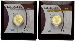 R1 / 1/10 oz 2016 Minted at the South African Mint Company (RF) (PTY) Ltd. Au 999.9. Kapzwergchamäleon / Cape dwarf chameleon, MD Mothobela, Künstler ...