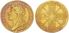 EUROPEAN COINS & MEDALS 
 CHOICE COLLECTION OF ENGLISH GOLD COINS 
 James II, 1685-1688. 5 Guineas 1687. IACOBVS II DEI GRATIA. Laureate head of kin...