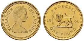 COINS & MEDALS FROM OVERSEAS 
 RHODESIA 
 Queen Elisabeth II, since 1952. Pound 1966. Fr. 2; K./M. 6. 7,98 g.
 GOLD. 5'000 pieces minted. Ex proof....