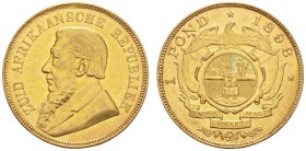 COINS & MEDALS FROM OVERSEAS 
 SOUTH AFRICA 
 Ohm Krüger, President. Pond 1898. Fr. 2; K./M. 10.2. 7,97 g.
 GOLD. Rare in this quality. In NGC­Slab...
