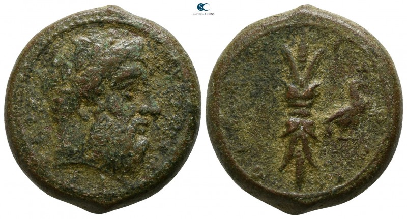 Sicily. Syracuse 339-334 BC. 
Hemidrachm Æ

23mm., 12,49g.

Laureate head o...