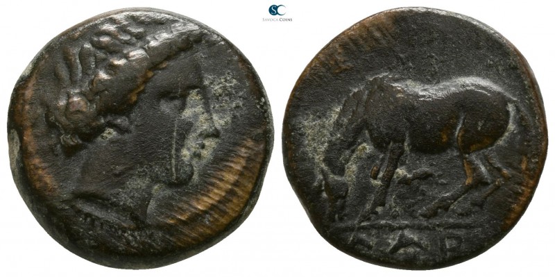 Thessaly. Larissa circa 320-290 BC. 
Dichalkon Æ

15mm., 4,21g.

Head of th...