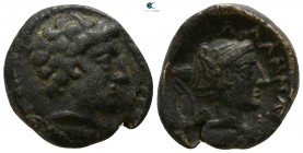Thessaly. Phalanna circa 320-200 BC. Dichalkon Æ