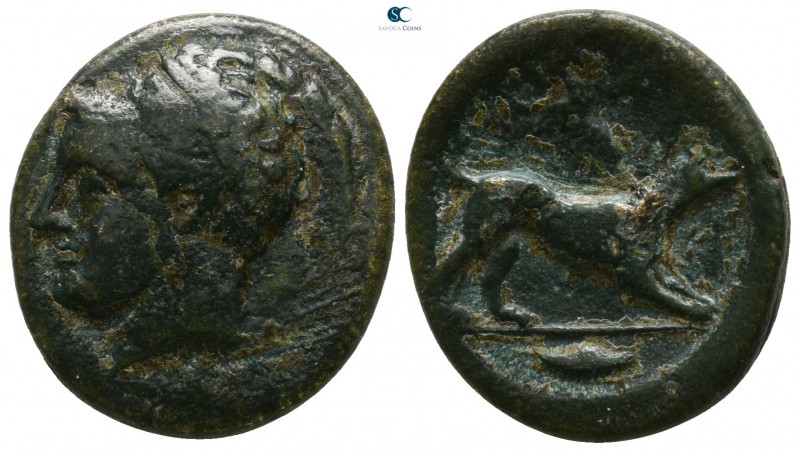 Akarnania. Argos Amphilochicon 330-330 BC. 
Bronze Æ

18mm., 5,00g.

Young ...