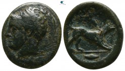 Akarnania. Argos Amphilochicon 330-330 BC. Bronze Æ