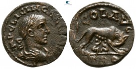 Troas. Alexandreia. Gallienus AD 253-268. Bronze Æ