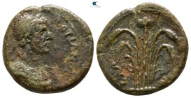 Aiolis. Elaia. Hadrian AD 117-138. Bronze Æ