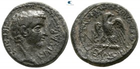 Phrygia. Apameia . Tiberius AD 14-37. Gaios Ioulios Kallikles, magistrate. Bronze Æ