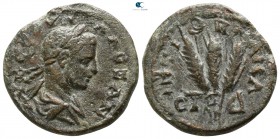 Cappadocia. Caesarea. Severus Alexander AD 222-235. Bronze Æ