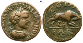 Mysia. Parion. Severus Alexander AD 222-235. Bronze Æ