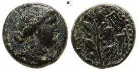 Seleucis and Pieria. Antioch. Pseudo-autonomous issue . Time of Galba, AD 68-69. Bronze Æ