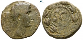 Seleucis and Pieria. Antioch. Augustus . 27 BC-AD 14. Bronze Æ