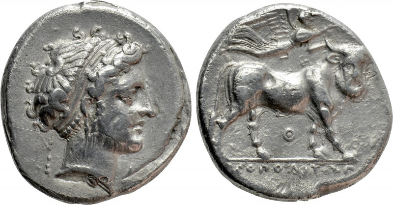 CAMPANIA. Neapolis. Nomos (Circa 300-275 BC). 

Obv: Head of nymph right; club...