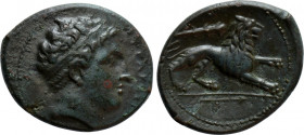 SICILY. Syracuse. Fourth Democracy (Circa 289-287 BC). Litra