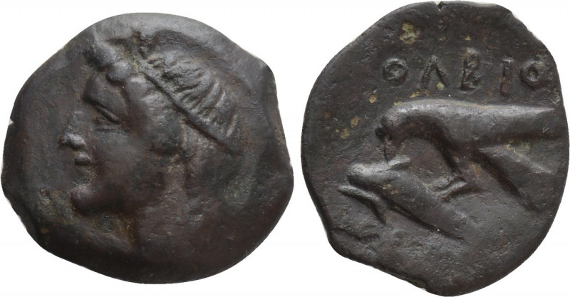 SKYTHIA. Olbia. Ae (Circa 400- 350 BC). Uncertain magistrate. 

Obv: Head of D...