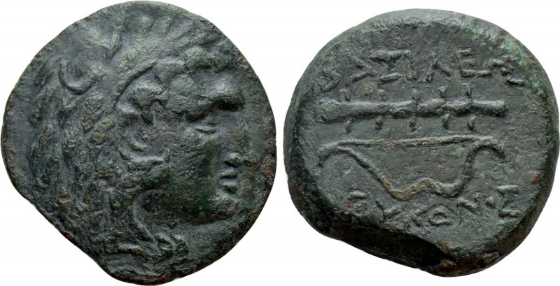 KINGS of BOSPOROS. Leukon II (Circa 240-220 BC). Ae . 

Obv: Head of Herakles ...