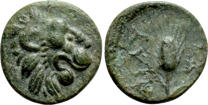 THRACE. Lysimacheia. Ae (Circa 225-199/8 BC). 

Obv: Head of lion right.
Rev:...