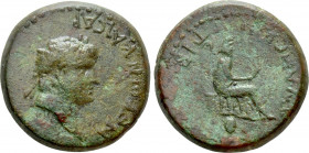 CAPPADOCIA. Tyana. Nero (54-68). Ae. Dated RY 12 (66)