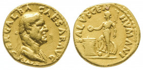 Galba (68-69).
Auréus (7,16 g) au buste lauré de l’empereur.
R/ SALVS GEN HUMANI. Frappé à Rome en 68-69. Ref : C 237, Cal 504.
TB, signes sur la t...