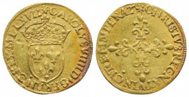 CHARLES IX (1560 – 1574).
Ecu d’or au soleil (3,37 g.), 1567 Paris.
Ref : Dy 1057, Sb.4904.
TTB