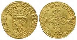 LOUIS XIII (1610-1643).
Ecu d’or (3,26 g.) 1617 Rouen (lettre d’atelier comme un P, différent couronne du directeur Michel Duval).
Ref : G 55.
Très lé...