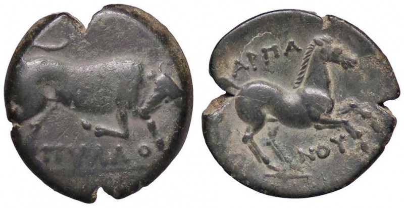 GRECHE - APULIA - Arpi - AE 20 - Toro cozzante a d. /R Cavallo che galoppa a d. ...
