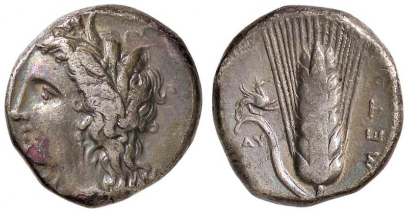 GRECHE - LUCANIA - Metaponto - Nomos - Testa di Demetra a s. /R Spiga d'orzo; a ...