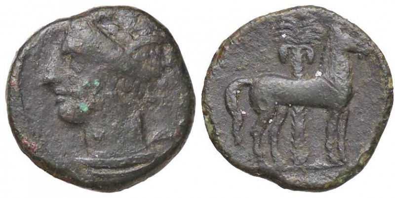GRECHE - SICILIA - Siculo-Puniche - AE 17 - Testa di Persefone a s. /R Cavallo s...