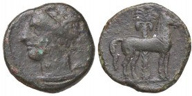GRECHE - SICILIA - Siculo-Puniche - AE 17 - Testa di Persefone a s. /R Cavallo stante a d.; dietro, palmizio Mont. 5543; S. Cop. 1002 (AE g. 3,25)
 ...