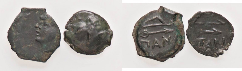 GRECHE - CHERSONESUS - Pantikapaion - AE 15 - Testa di satiro a s. /R Arco e fre...